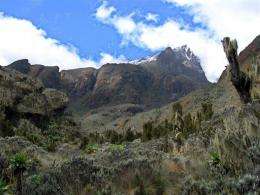 The Rwenzori mountain range in western Uganda