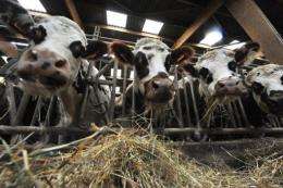 The  world's top agency for animal health said that climate hange is widening viral disease among farm animals