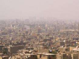 They're alive!! Megacities breathe, consume energy, excrete wastes and pollute