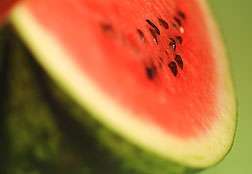 Tracking Virus Resistance Genes in Watermelon Made Easier