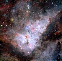 Trumpler 14 in the Carina Nebula