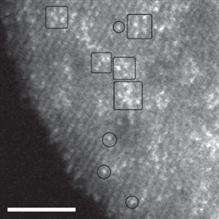 Imaging a catalyst one atom at a time
