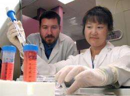 UCSB, UCL scientists rescue visual function in rats using induced pluripotent stem cells