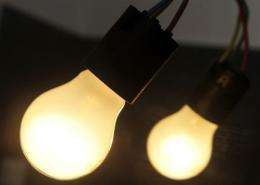Using energy-saving light bulbs instead of the old incandescent ones could save an average household 166 euros a year