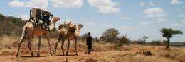 VIDEO: Solar power cools camel-transported vaccines on treks to remote areas