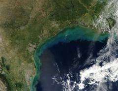 Water monitor eyes farm runoff in Gulf of Mexico (AP)