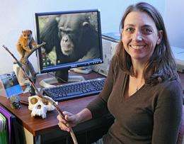 Wild chimps have near human understanding of fire, says study