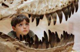 Will Murphy, 7, inspects the teeth of a Theropod dinosaur