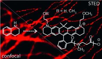 Written in Red: Red-Emitting Dyes for Optical Microscopy and Nanoscopy