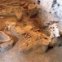 Pompeii's mystery horse revealed