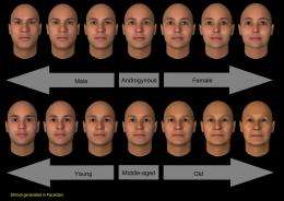 Study finds that the same face may look male or female