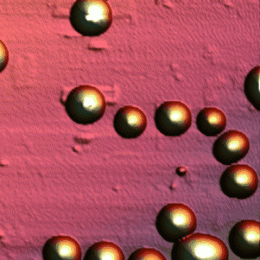 Nanospheres made of aromatic amino acids: The most rigid organic nanostructures to date