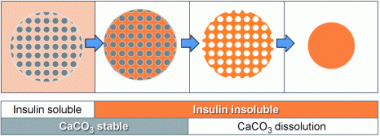 All the Same Size: Assembly of uniformly pure protein microparticles using calcium carbonate templates