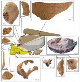 100,000-year-old ochre toolkit and workshop discovered in South Africa