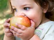 Babies weaned on home-cooked fruit and veg more likely to eat ?5 a day? as children