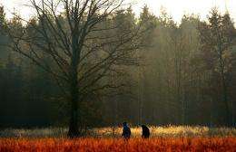 A couple walks past a meadow and a forest in 2008 near Munich, Germany