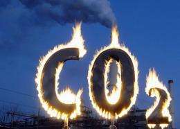 Activists burn a symbol of carbon dioxide in Berlin
