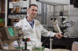 A flash of insight: Chemist uses lasers to see proteins at work