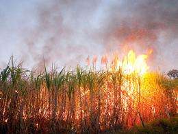 Air pollution results from sugarcane ethanol production