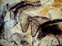 Ancient DNA provides new insights into cave paintings of horses