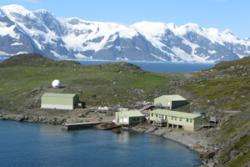 Antarctic flowering plants warm to climate change