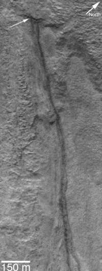 Are gas-formed gullies the norm on Mars?