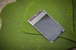 'Artificial leaf' makes fuel from sunlight (w/ video)