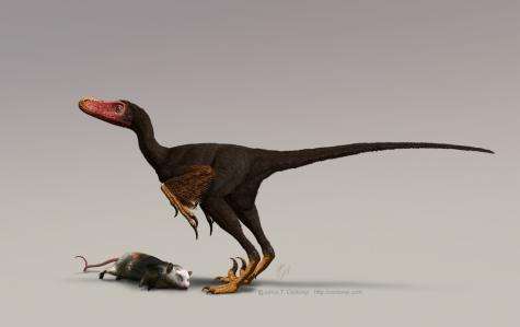 Birds inherited strong sense of smell from dinosaurs (w/ video)