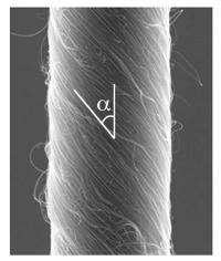 Carbon nanotube muscles generate giant twist for novel motors