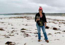 Climate scientist studies ancient shorelines