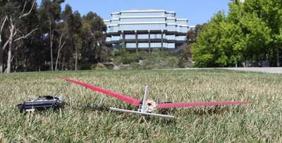 Engineers look to the birds for the future of UAVs