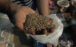 EU bans Egypt seed imports after E. coli outbreak (AP)