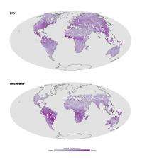 First-of-its-kind fluorescence map offers a new view of the world's land plants