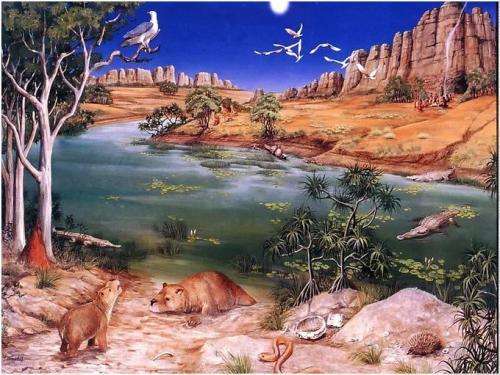 Giant prehistoric marsupial found in Northern Australia