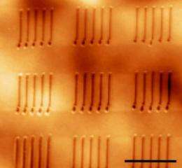 Heated AFM tip allows direct fabrication of ferroelectric nanostructures on plastic