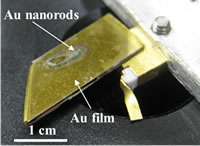High efficiency infrared photodetectors using gold nanorods