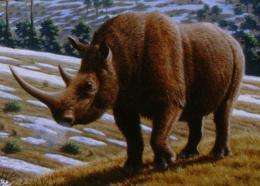 Humans and climate contributed to extinctions of large ice-age mammals, study finds