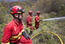 Members of the Military Emergency Unit (UME) try to extinguish a fire at the Serra de  Monar