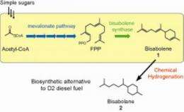 New advanced biofuel as an alternative to diesel fuel
