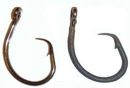 New fishing hook reduces shark catch