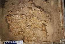 Paleontologist describes large nest of juvenile dinosaurs, first of their genus ever found