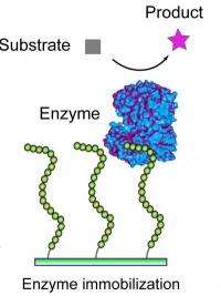 Positioning enzymes with ease