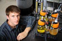 Student unleashes electrical power of microbes 