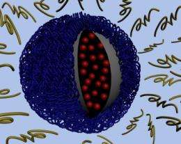 Removable 'cloak' for nanoparticles helps them target tumors