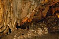 Researcher Finds Key to Ancient Weather Patterns in Florida's Caves