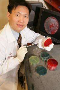 研究人员致力于开发超级细菌的筛选方法