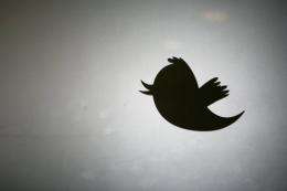 The number of applications registered at the popular microblogging service Twitter has topped a million.