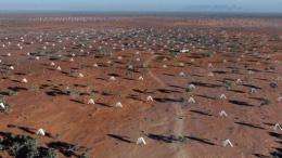 The Square Kilometre Array will eventually link thousands of radio dishes to make a massive antenna