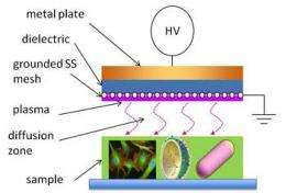Using ionized plasmas as cheap sterilizers for developing world