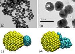 Using light to build nanoparticles into superstructures